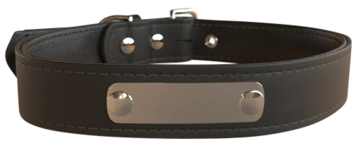 Personalisiertes Hundehalsband - Classic