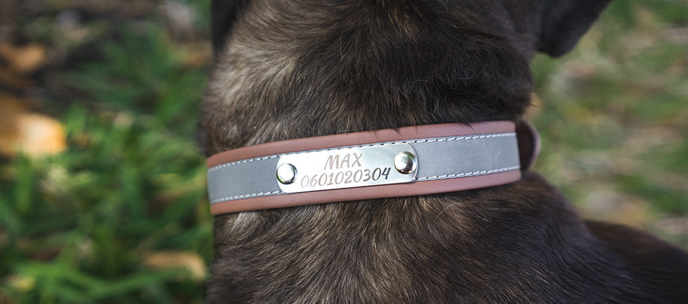 Personalisiertes Hundehalsband - Reflektierend