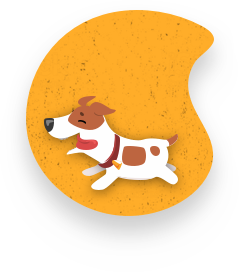 Hundehalsbandnamen.de